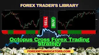 Octopus Cross Forex Trading Strategy 1080p caption