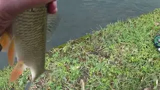 13 janvier 2026 pêche à la mouche dans le sichon à Vichy(v1