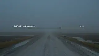 ZGOOT - In Ignorance