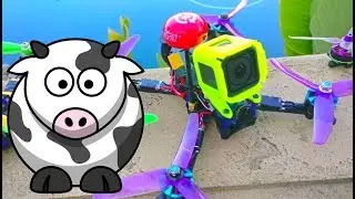 Heavy quad = similar on most props