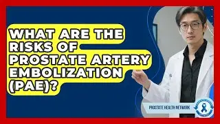 What Are The Risks Of Prostate Artery Embolization (PAE)? - Prostate Health Network