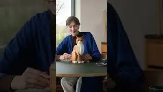 🐱 LEGO 21376 Ideas Oranje Kat