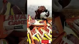 Trying to Steal Mad Dog LAVA CAKE Double Dutch - angry dog #dog #angrydog #shorts #viral