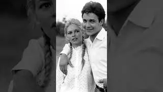 Brigitte Bardot's 
