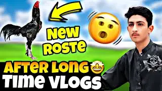 AFTER A LONG TIME &ndash; Meet My New Rooster! 😱🐔
