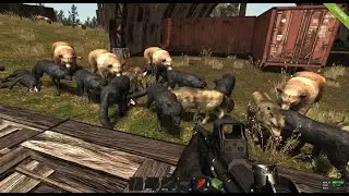 Rust Legacy Server Ip 2021