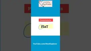 Phylum Platyhelminthes Tricks | Examples mnemonic | NEET Biology NCERT