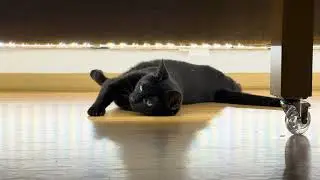 Luna