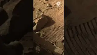Latest 4k Stunning Video Footage of Mars Planet #Youtube #Shorts