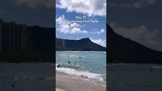 Best places to eat in Waikiki, Hawaii｜ワイキキの絶品グルメ&スイーツ🌺🏝️ #hawaii #ハワイ