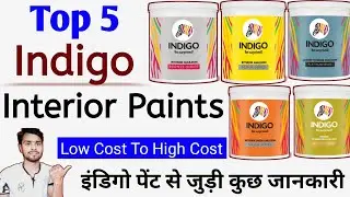 Top 5 Indigo Interior Paint Price & Review | Indigo Paints