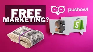 PushOwl Shopify Push Notification App Review