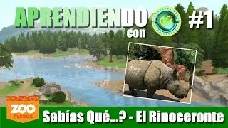 Aprendiendo con GardenerGames | Zoo Tycoon - El Rinoceronte | Gameplay did&aacute;ctico
