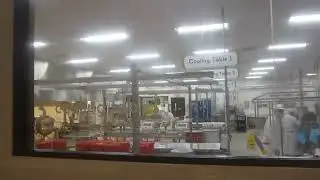 Viewing Aisle at Ethel M Chocolate Factory in Henderson, Nevada (12/08/2022)