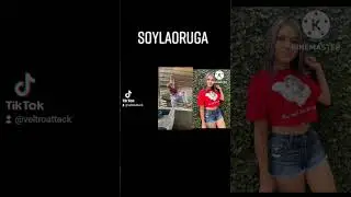 la verdad de soyloruga