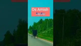 Os Amish 🇺🇸 #usa #estadosunidos #brasileirosnoexterior #eua