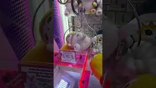 😍 #viral #arcade #clawmachine #payouts