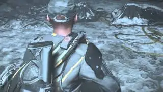 Dizzyvision vengeance
