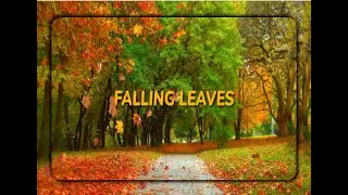 Best animation in css || falling leaves || simple css code