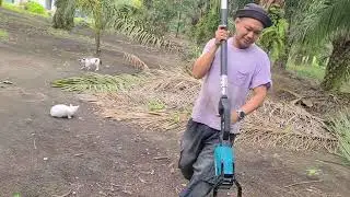 Mesin cantas sawit brand makita.
