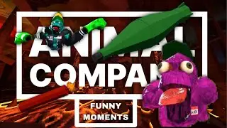Animal company funny moments #c5e12