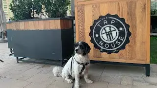 Video 63 - The Tap House