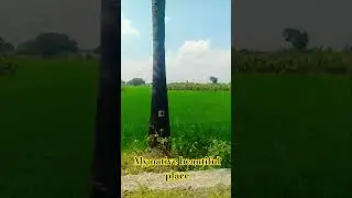 நம்ம ஊர் நம்ம ஊர் தான்டா 😍💖💕#benven #buttyfull #funny #whatsapp_status
