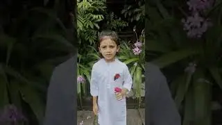my naazi moollee
