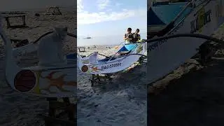 #beachside#poormeowmeow# always waiting,#kindheart,#giveherfishtoeat#shortyoutubevideo#🐩🐩🐩