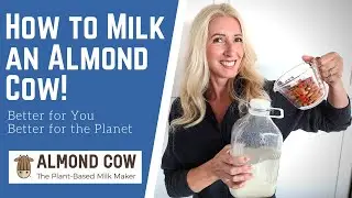 Almond Cow Milk Machine Unboxing: How to Make Healthy, Sustainable Almond Milk + Alt Milk Taste Test
