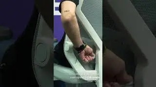 Cadeira Ergon&ocirc;mica Albari #elements