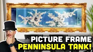 Massive 430 Gallon Reef Build is the ULTIMATE Living Wall!
