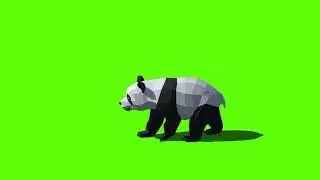 🐼 Panda Greenscreen video 💚 No copyright Easyuse🐼🐼Panda Walking🐼