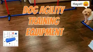 My hooman bought a dog training equipment!