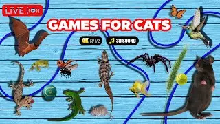 24/7 Live CAT GAMES Ultimate Hunting GAME FOR CATS  Mice, Lizard, Cockroach [Streaming Platform]