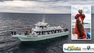 Rudee Tours - Deep Sea Fishing - Fisheye Digital Design Studio