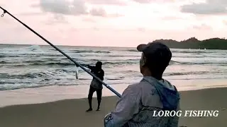 Mancing Sore  Waktu Terbatas#mancingpasiran#