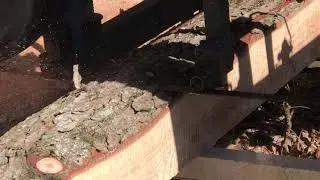 Cutting more Timber on the homemade Sawmill!!!! #Homestead #Lumber #Bandmill