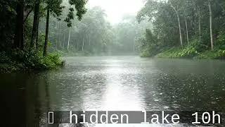 Cinematic Rainforest at Dawn &mdash; 10 Hours of Rain & Lake (4K Static Shot ASMR)