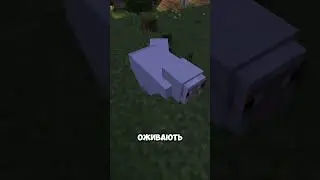 МОД Який Дасть Вам Можливість Другої Смерті😏