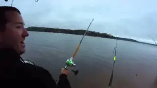 Drag screaming 72 pound Blue Cat!