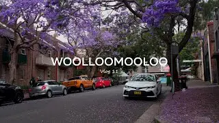 Quiet Vlog 11 | Woolloomooloo in Sydney