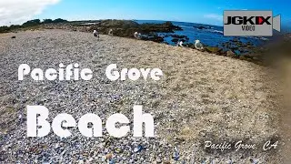 The Beach at Pacific Grove CA