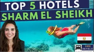 TOP 5 Hotels Sharm El Sheikh, &Auml;gypten:Four Seasons, Steigenberger, Rixos, Laguna, Sunrise Montemare