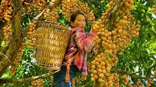 Harvesting Natural Fruit and Taking It to the Market to Sell - The Couple's First Meal