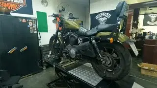 Melhor Revisão já feita na Harley Iron 883, Veja como foi... | Tudo gravado!  | ITALIAN CHOPPER