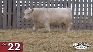 Lot 22 - ProChar 2020.mp4