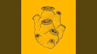 Beb&eacute; Durmiendo Cumbia (Dub)