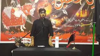 Majlis e ashura imamia welfare organization Milan Italy 2019