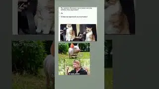 #memes #мем #юмор #жиза